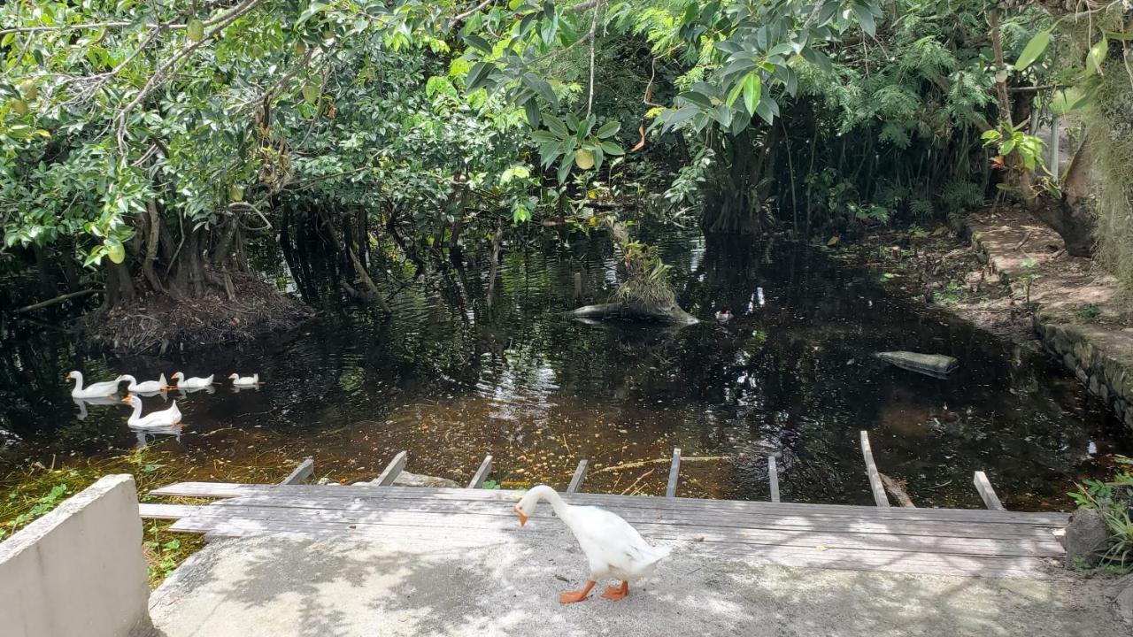 Casa Da Lagoa ポルトセグロ エクステリア 写真